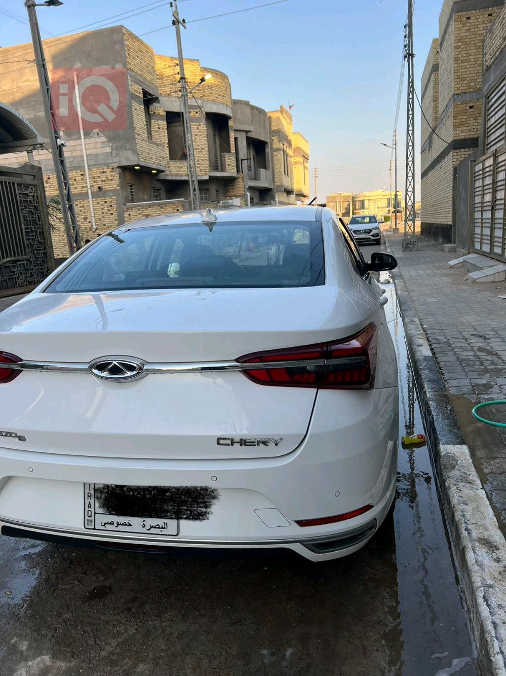 شيري أريزو 6